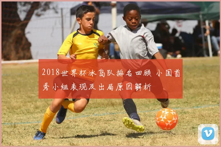 2018世界杯冰岛队排名回顾 小国首秀小组表现及出局原因解析