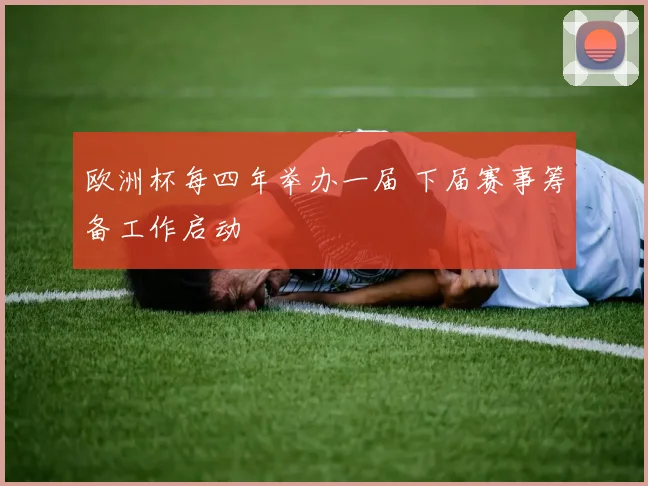欧洲杯每四年举办一届 下届赛事筹备工作启动